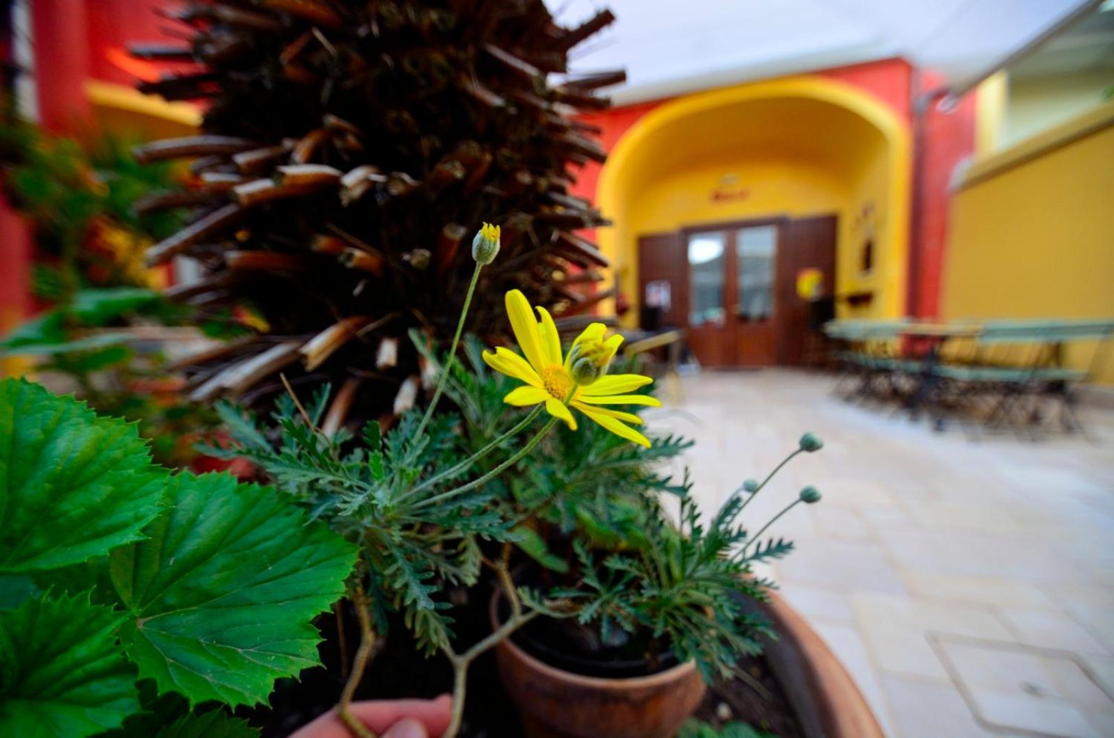 Manouche Affittacamere Osteria Caserta Exterior photo
